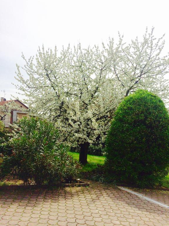 I Ciliegi Apartamento Moncalieri Exterior foto